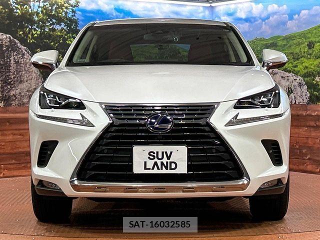 Lexus NX 2018-12 7501295-13