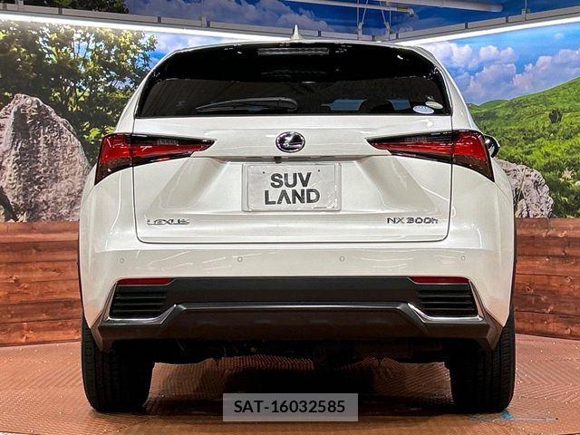 Lexus NX 2018-12 7501295-14