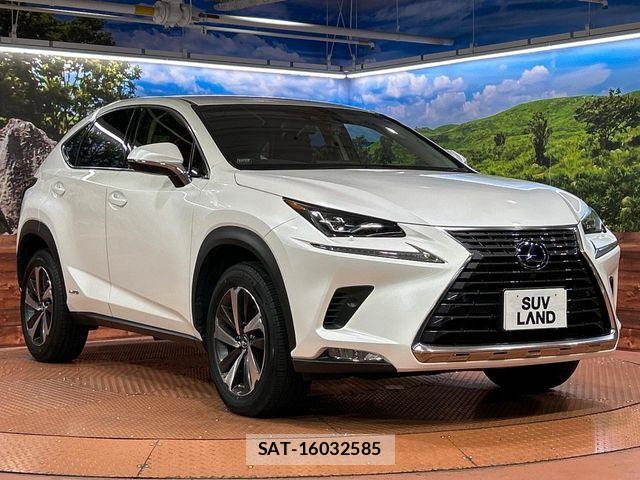Lexus NX 2018-12 7501295-15