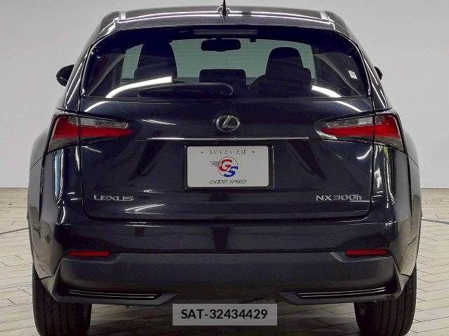 Lexus NX 2015-11 7501299-18