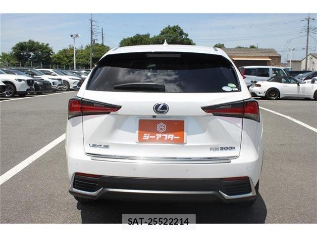 Lexus NX 2018-10 7509039-9