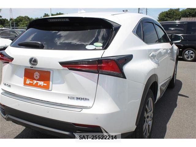 Lexus NX 2018-10 7509039-10