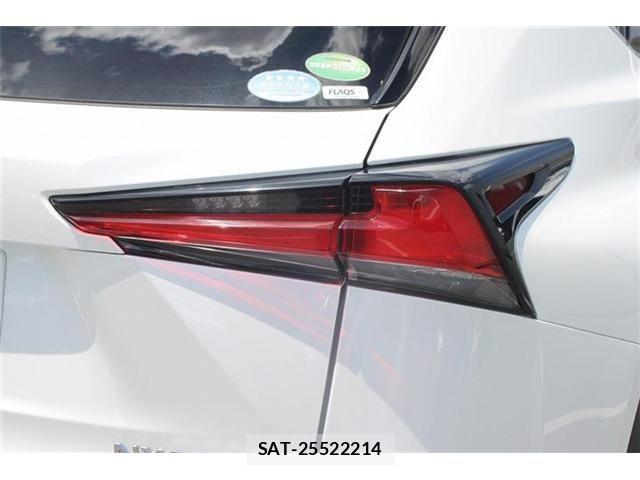 Lexus NX 2018-10 7509039-11