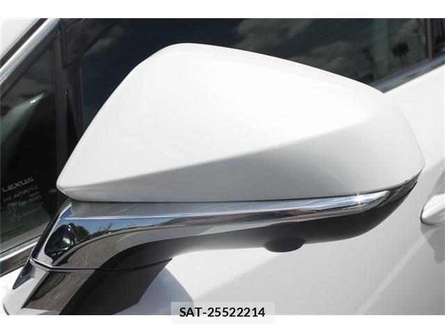 Lexus NX 2018-10 7509039-14