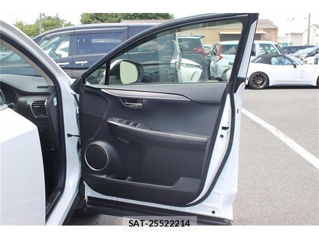 Lexus NX 2018-10 7509039-22