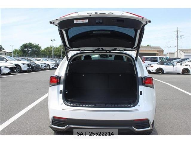 Lexus NX 2018-10 7509039-28