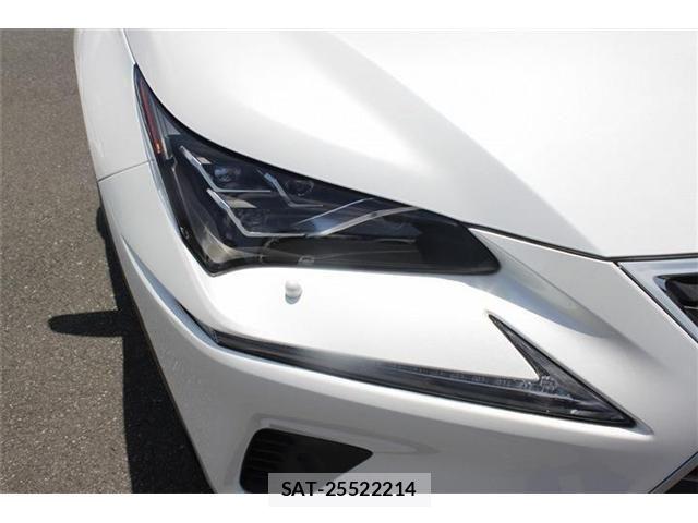 Lexus NX 2018-10 7509039-3