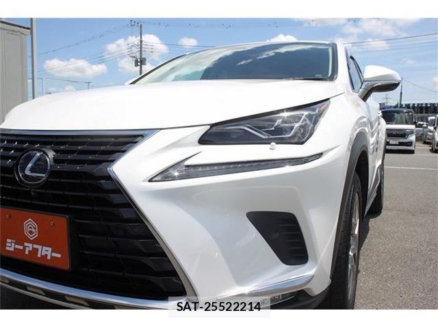 Lexus NX 2018-10 7509039-4