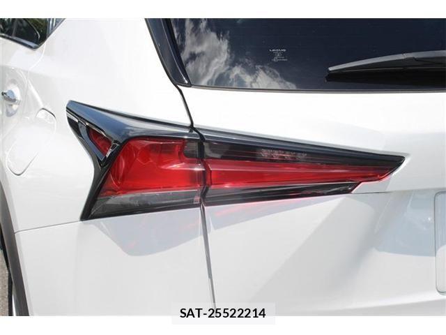 Lexus NX 2018-10 7509039-7
