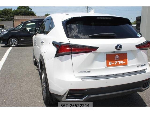 Lexus NX 2018-10 7509039-8
