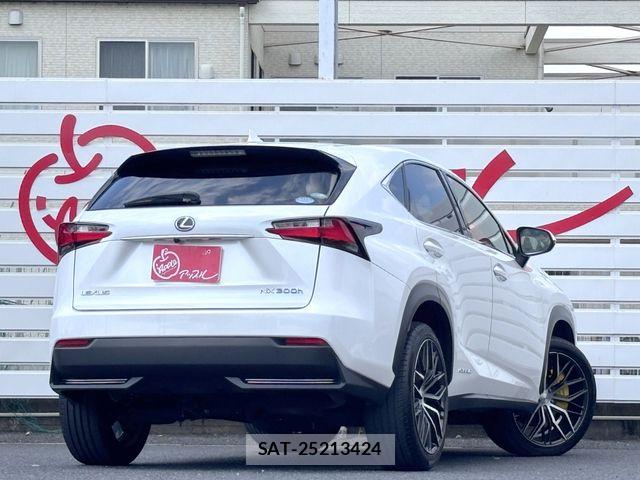 Lexus NX 2015-07 7501300-9