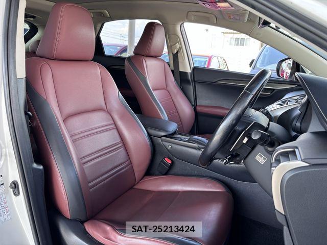 Lexus NX 2015-07 7501300-19