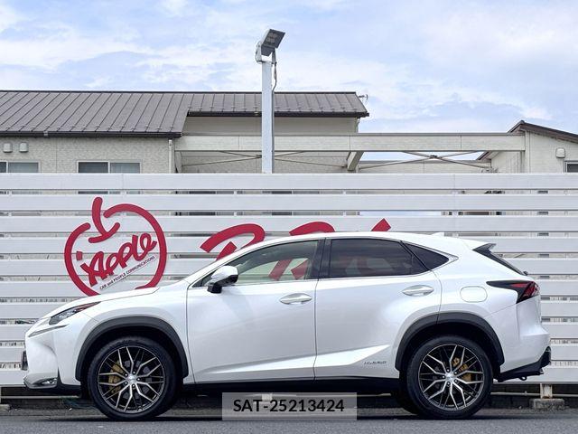 Lexus NX 2015-07 7501300-4