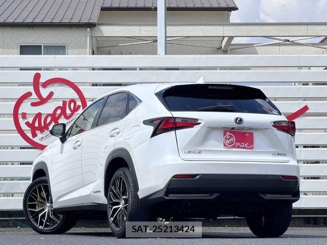 Lexus NX 2015-07 7501300-6