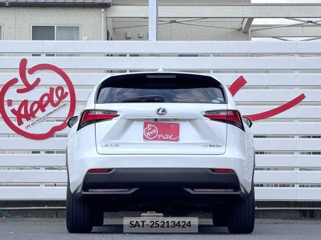 Lexus NX 2015-07 7501300-8