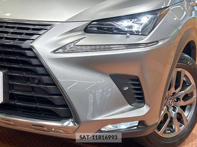 Lexus NX 2017-11 7501297-11