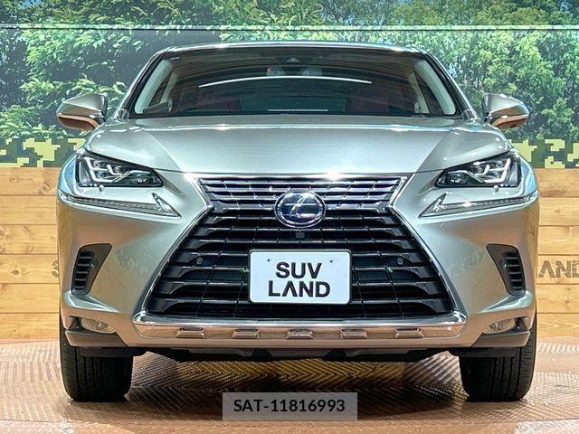 Lexus NX 2017-11 7501297-13