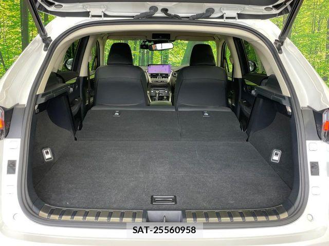 Lexus NX 2019-07 7501294-9