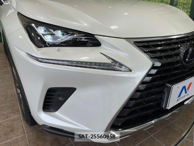 Lexus NX 2019-07 7501294-11
