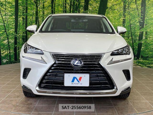 Lexus NX 2019-07 7501294-13