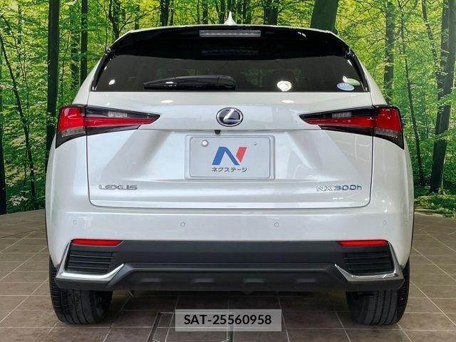 Lexus NX 2019-07 7501294-14
