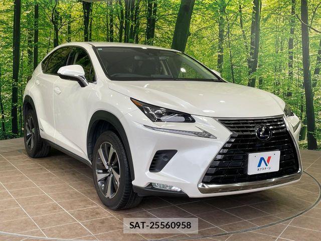 Lexus NX 2019-07 7501294-15