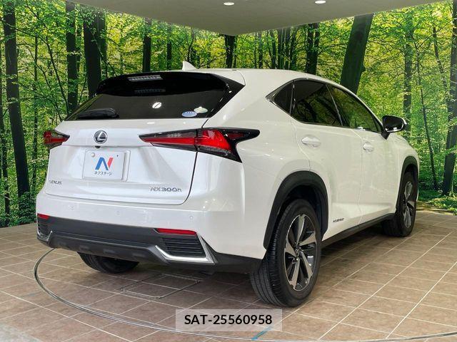 Lexus NX 2019-07 7501294-16