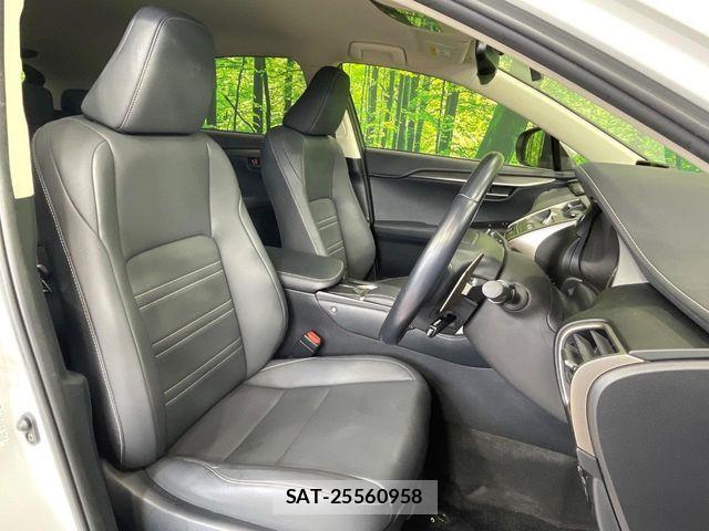 Lexus NX 2019-07 7501294-7