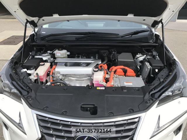 Lexus NX 2020-04 7501296-28