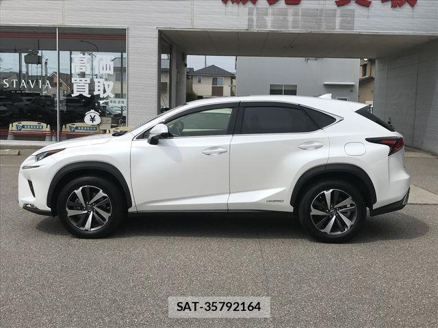 Lexus NX 2020-04 7501296-6