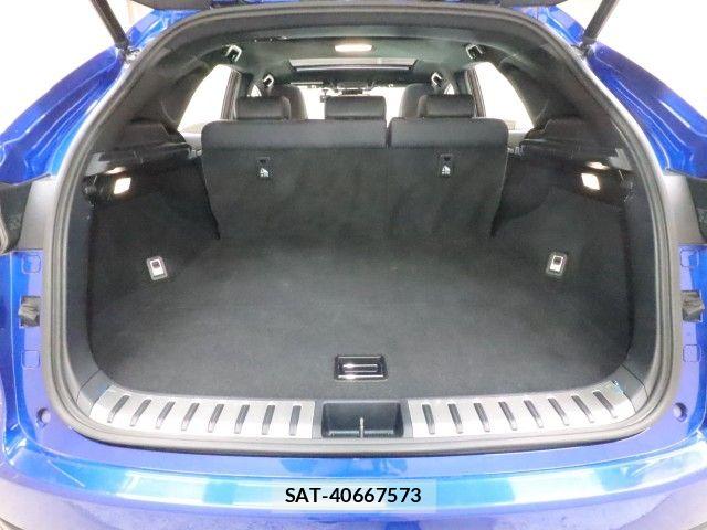 Lexus NX 2020-10 7617691-13