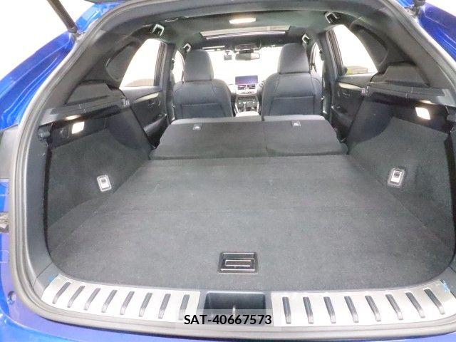 Lexus NX 2020-10 7617691-14
