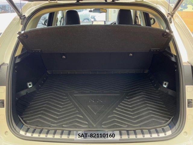 Lexus NX 2019-07 7617687-10