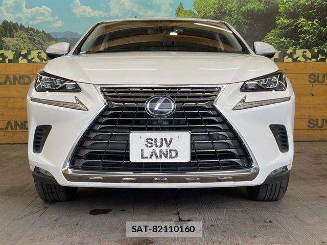 Lexus NX 2019-07 7617687-14