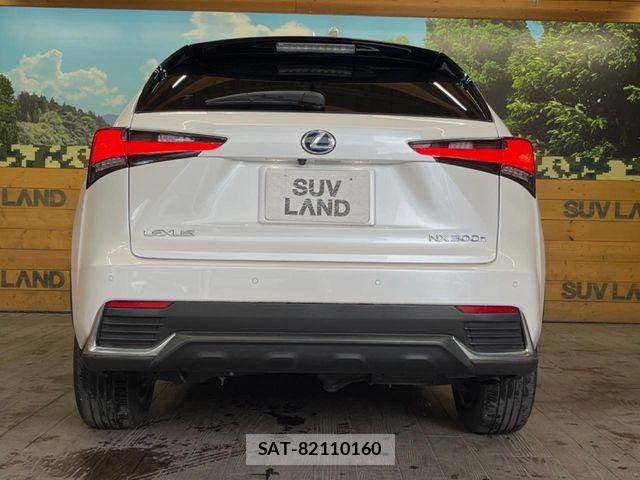 Lexus NX 2019-07 7617687-15