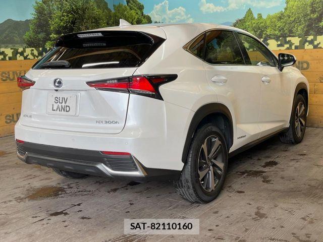 Lexus NX 2019-07 7617687-17