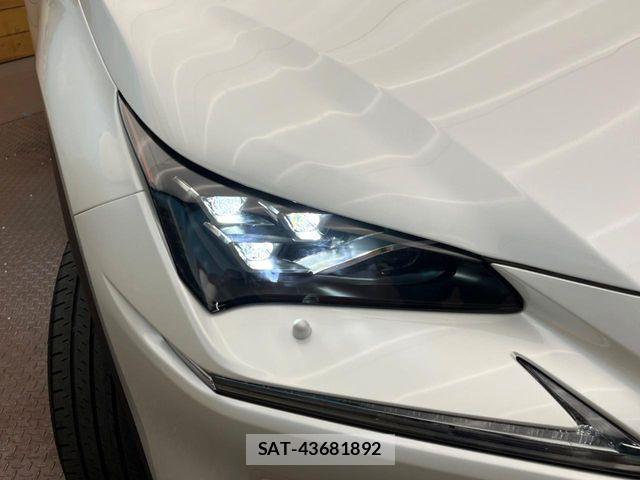 Lexus NX 2020-08 7617688-11