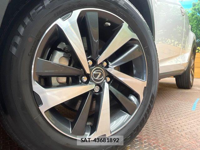 Lexus NX 2020-08 7617688-12