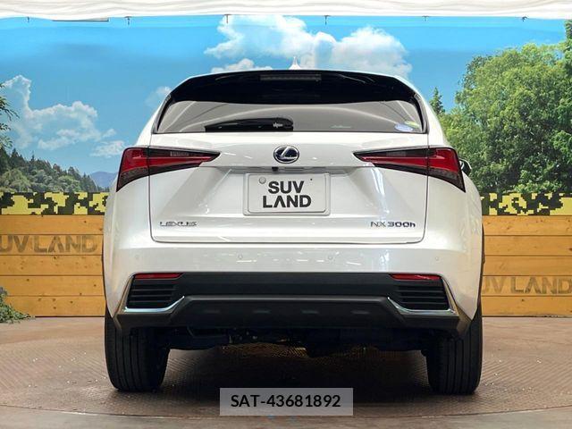 Lexus NX 2020-08 7617688-14