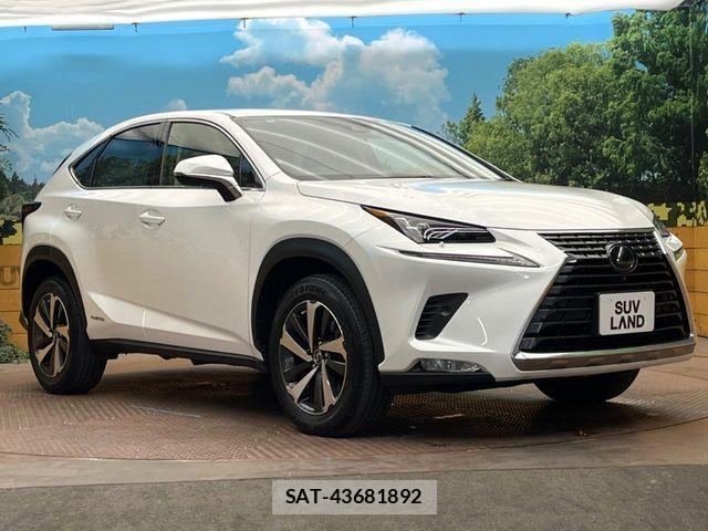 Lexus NX 2020-08 7617688-15
