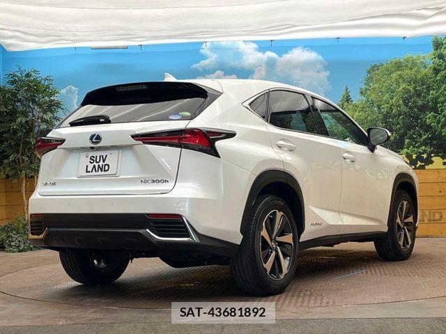 Lexus NX 2020-08 7617688-16