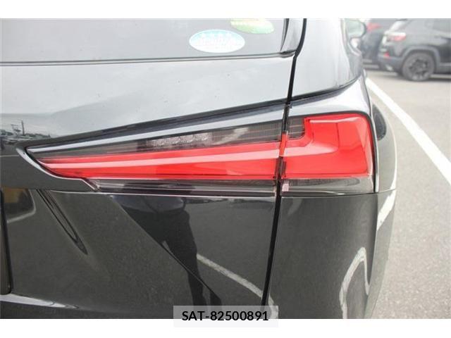 Lexus NX 2019-08 7617690-9