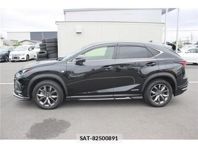 Lexus NX 2019-08 7617690-10