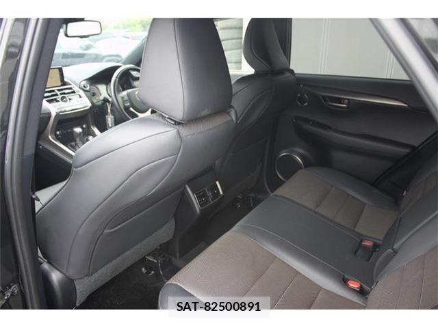 Lexus NX 2019-08 7617690-13