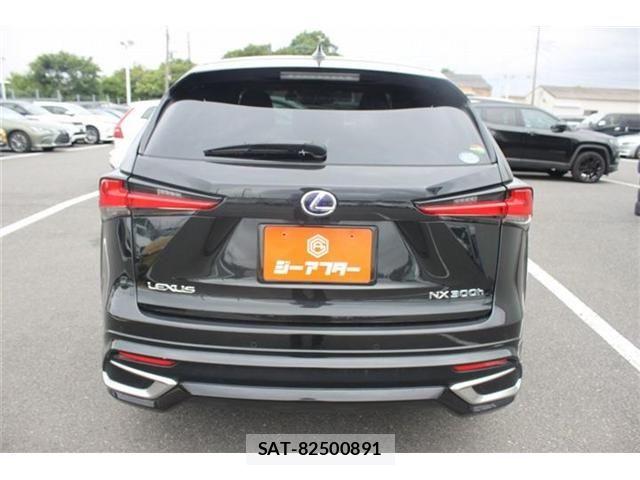 Lexus NX 2019-08 7617690-6