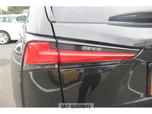 Lexus NX 2019-08 7617690-8
