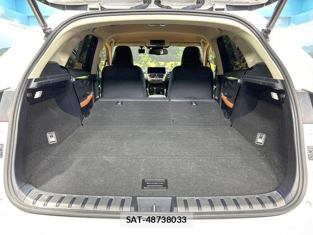 Lexus NX 2021-07 7617686-9