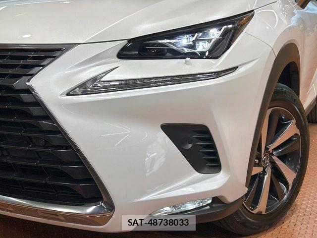 Lexus NX 2021-07 7617686-11