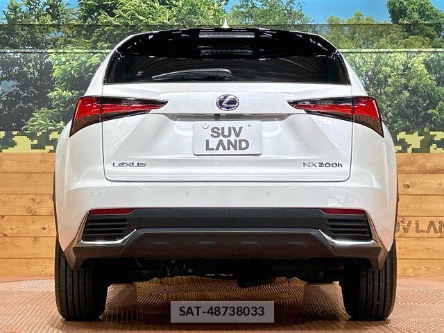 Lexus NX 2021-07 7617686-14