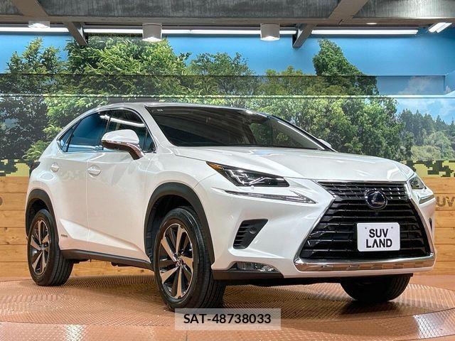Lexus NX 2021-07 7617686-15